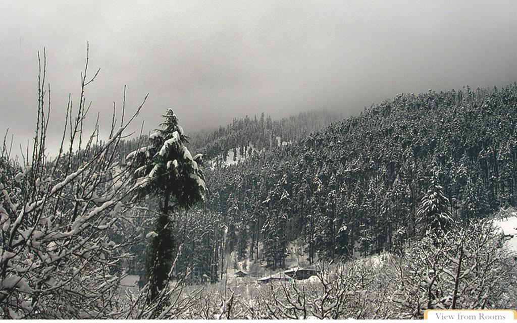 Hotel Manali Heights Dış mekan fotoğraf